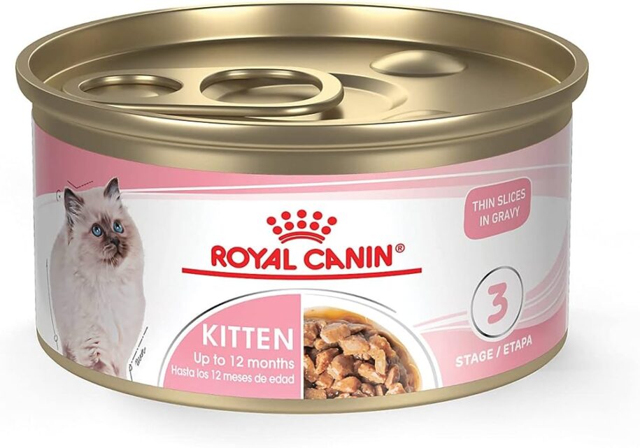 Royal Canin Cat Food: A Nutritional Feast for Your Feline Friend