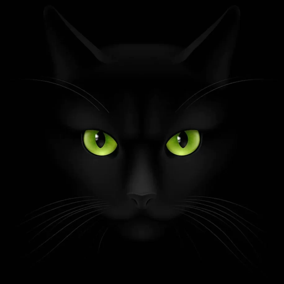 The Enigmatic Black Cat With Green Eyes