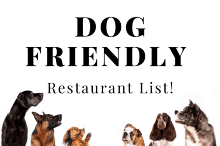 Exploring the Best Dog Friendly Restaurants Near Me